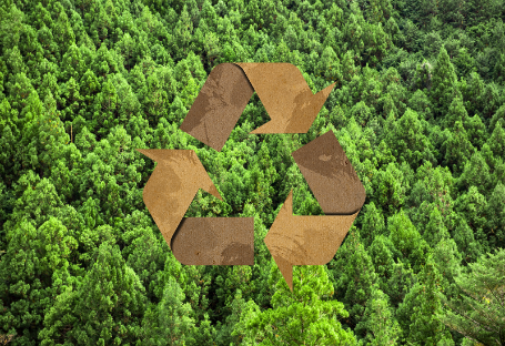 Príručka FSC & EUDR & PEFC pre obstarávanie jednorazových potrieb pre stravovanie